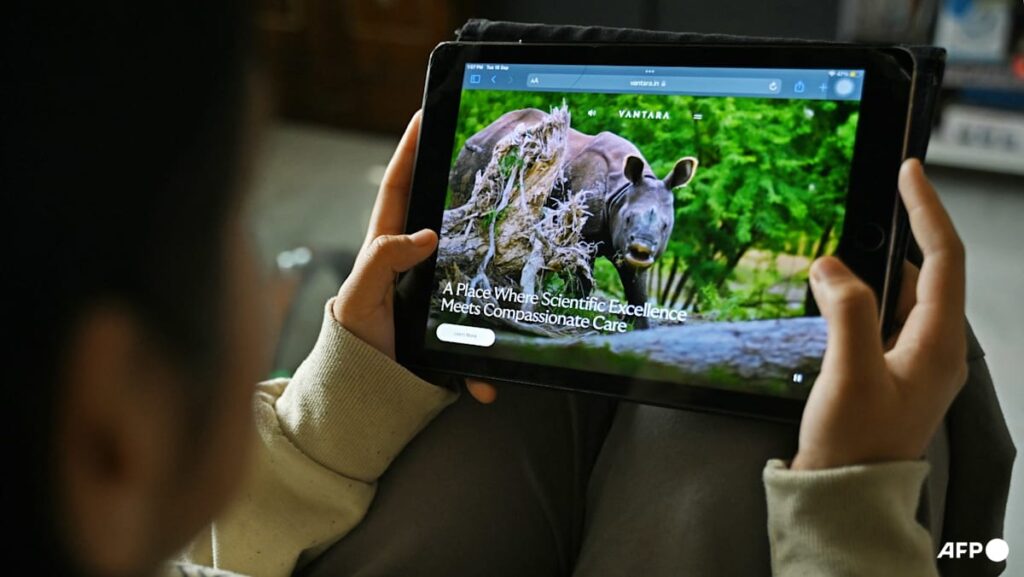 Indian tycoon’s giant Vantara zoo announces ‘reset’, rethinks imports Indian tycoon’s giant Vantara zoo announces ‘reset’, rethinks imports