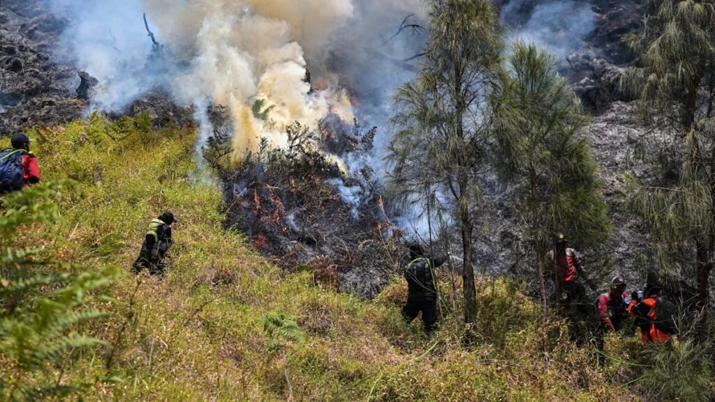 Indonesia battles Mount Bromo wildfire as El Nino takes root Indonesia battles Mount Bromo wildfire as El Nino takes root