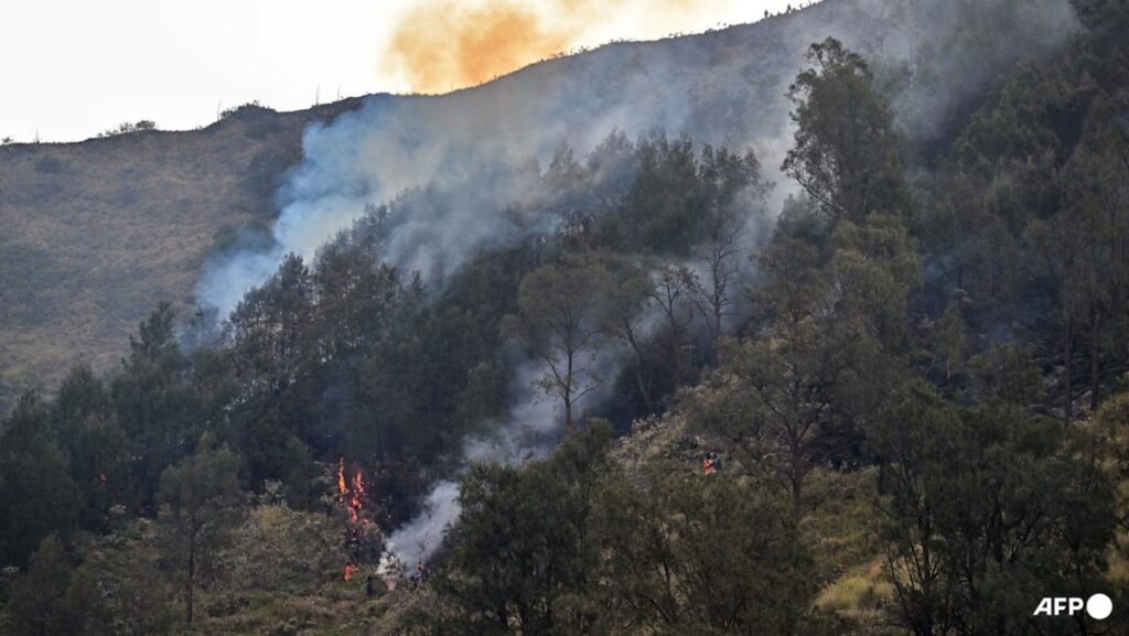 Prabowo orders coordinated measures against Indonesia wildfires Prabowo orders coordinated measures against Indonesia wildfires