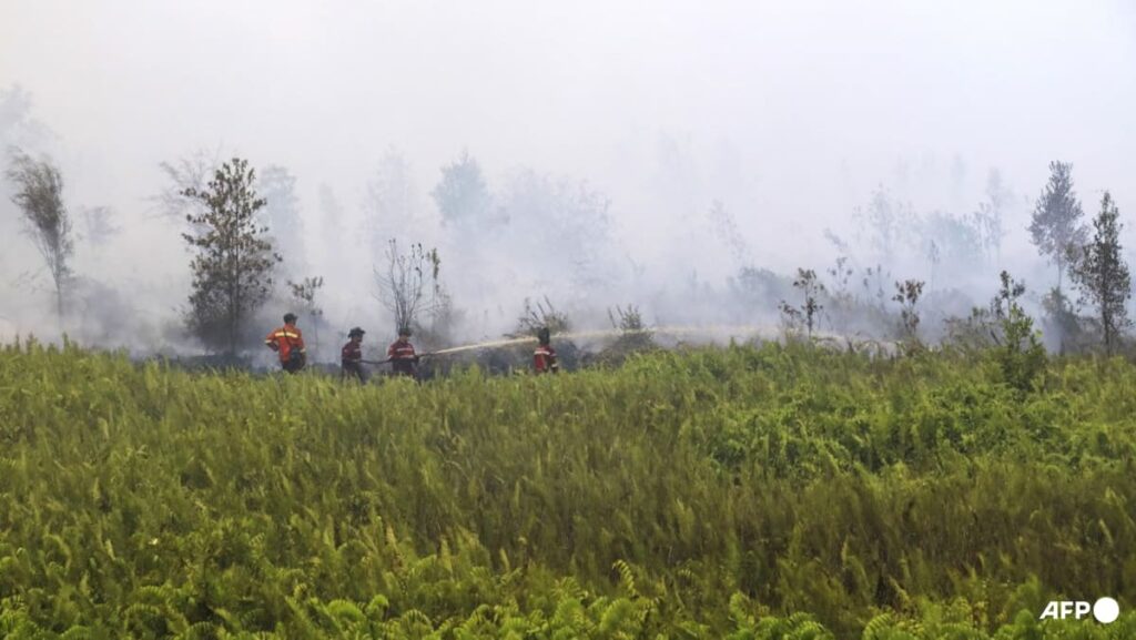 Make it rain: Indonesia chases clouds to stem El Nino fires Make it rain: Indonesia chases clouds to stem El Nino fires