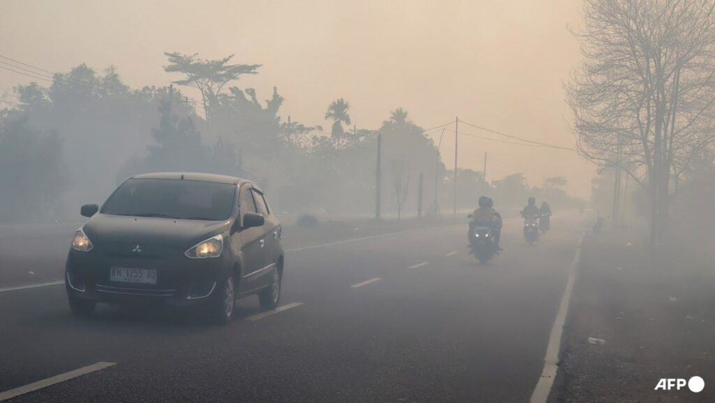 Indonesian police arrest 72 people suspected of starting forest fires