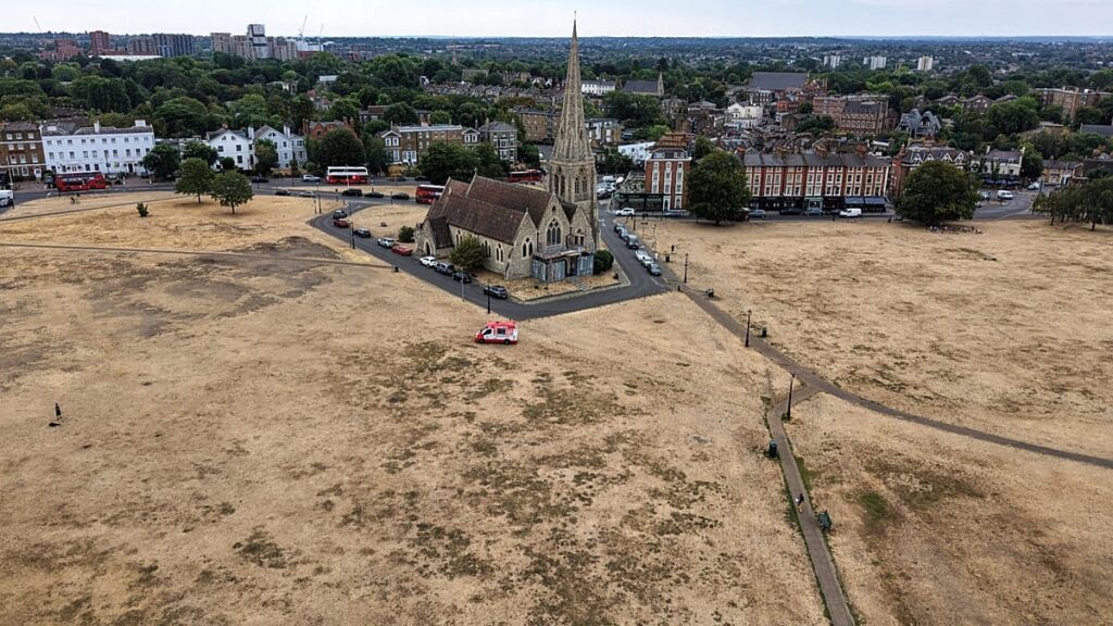 Drought declared in ‘almost three-quarters’ of England, UK says Drought declared in ‘almost three-quarters’ of England, UK says