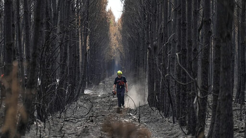 What tools does the EU have to fight wildfires? Are they enough? What tools does the EU have to fight wildfires? Are they enough?
