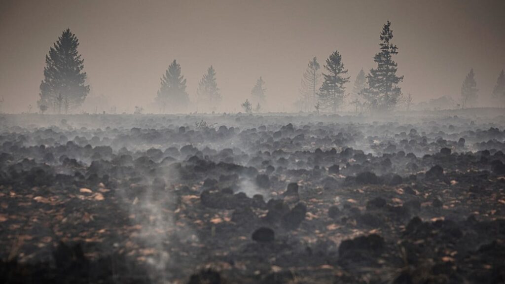 Firefighters pushing to ‘definitively encircle’ Belgium wildfire Firefighters pushing to ‘definitively encircle’ Belgium wildfire