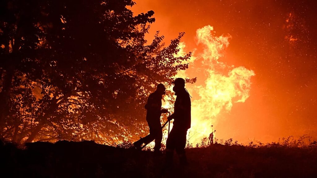 What should the EU prioritise to tackle wildfires? Take our poll What should the EU prioritise to tackle wildfires? Take our poll