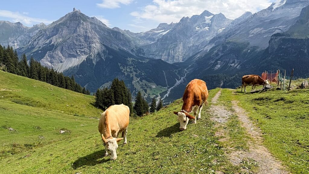 Swiss village lives in the shadow of an unstable mountain