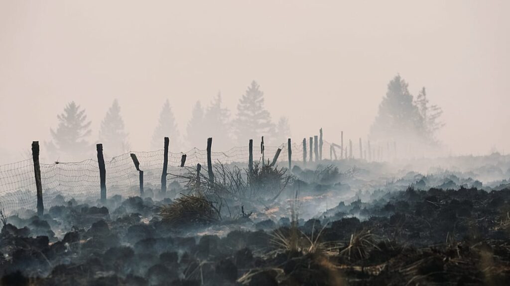 Belgium wildfire ‘encircled’ overnight, situation still ‘complicated’
