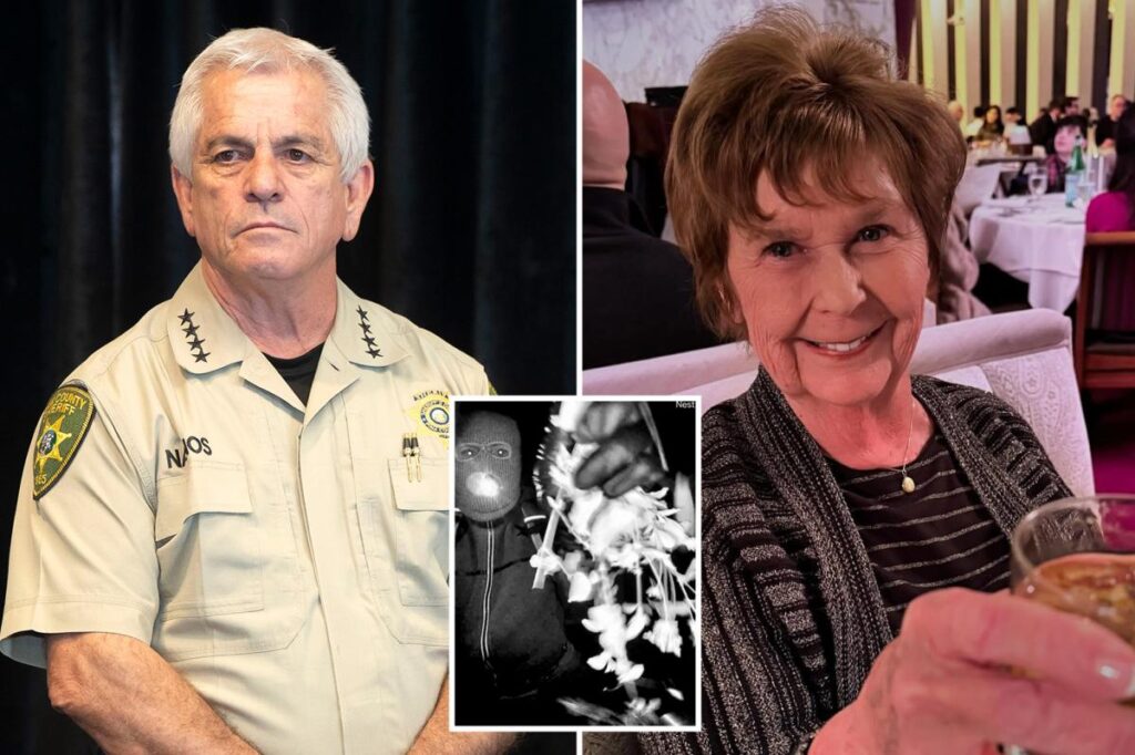 Nancy Guthrie sheriff says investigators may have more video evidence as they review thousands of clips Nancy Guthrie sheriff says investigators may have more video evidence as they review thousands of clips