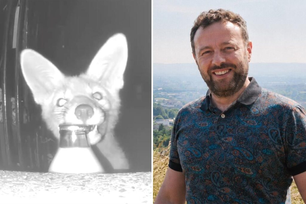 Homeowner blames ‘militant vegan’ for missing milk before camera reveals real thief