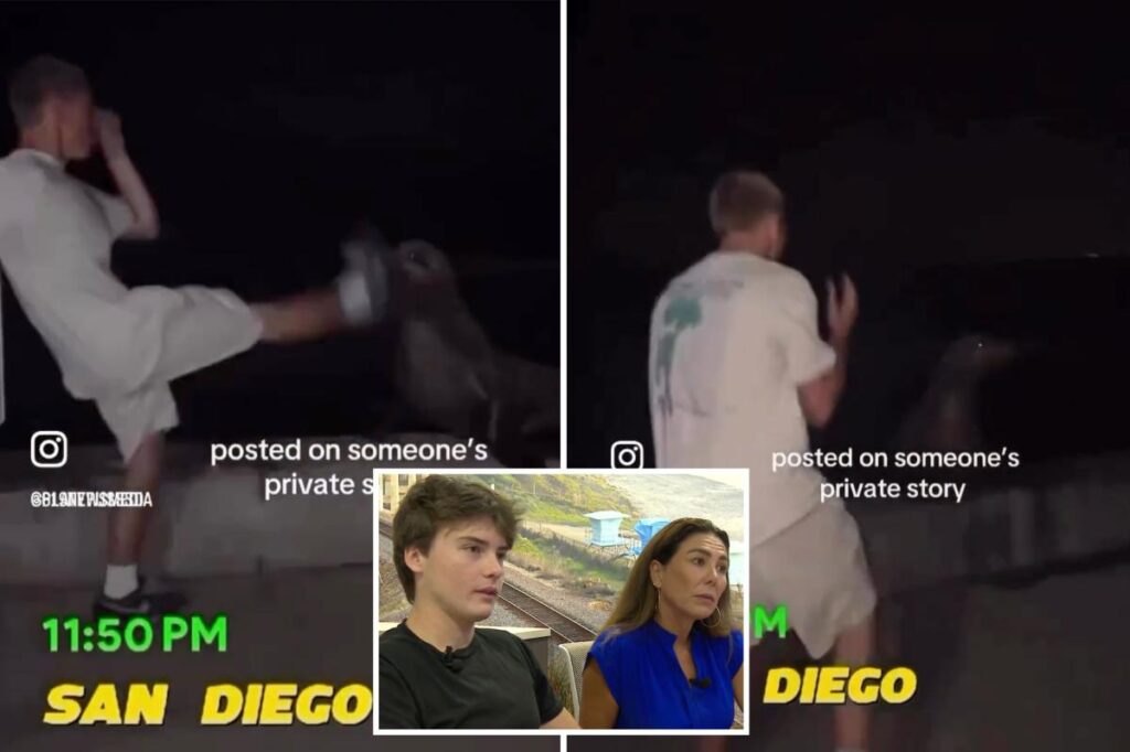 Teen’s three-word joke turns his life upside-down as he’s outed as the vicious sea lion fighter Teen’s three-word joke turns his life upside-down as he’s outed as the vicious sea lion fighter