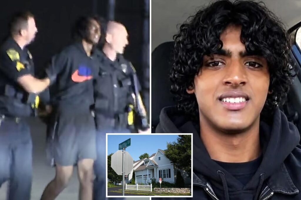 Teen allegedly slaughtered mom and brother after asking AI to create ‘fantasies’ about murdering family