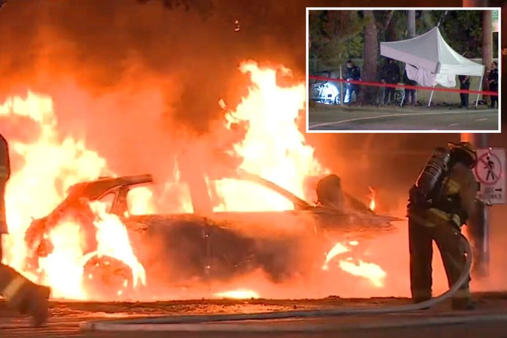 Driver killed after car erupts in flames in crash in Griffith Park