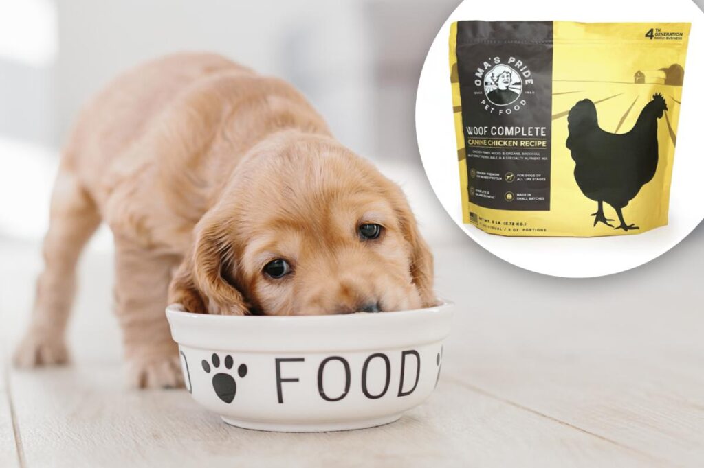 Dog food sold in 11 states recalled over deadly Salmonella contamination fears