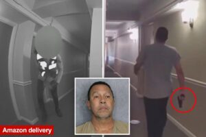 Misdelivered package sparks gun threat, two-hour SWAT standoff in Florida Misdelivered package sparks gun threat, two-hour SWAT standoff in Florida