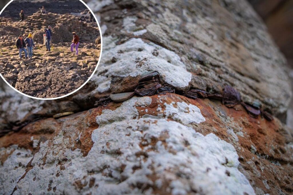 ‘Frustrating work’: Tourists defile World Heritage landmark with 10,000 coins, forcing 200-hour cleanup