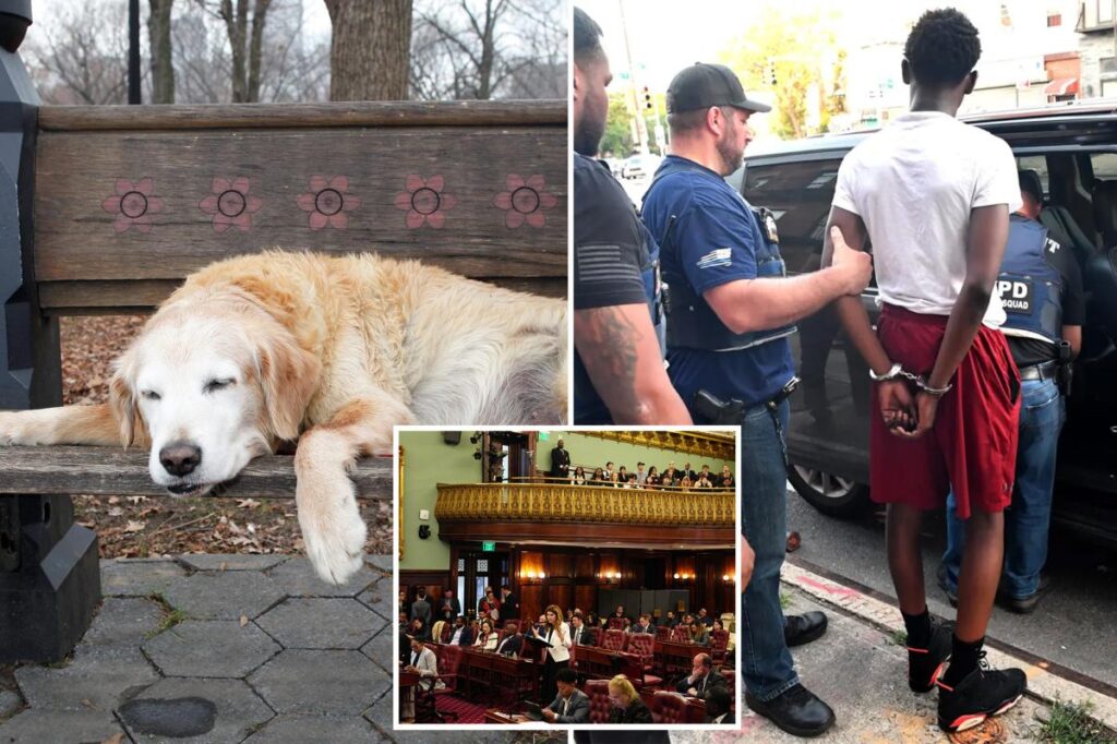 Exclusive | The wacky — and dangerous — NYC bills that could soon be law: Sick leave for pets, abolished gang database and an elephant ban Exclusive | The wacky — and dangerous — NYC bills that could soon be law: Sick leave for pets, abolished gang database and an elephant ban