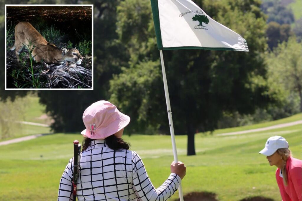 Housing project on Woodland Hills Country Club hits major road block due to mountain lions