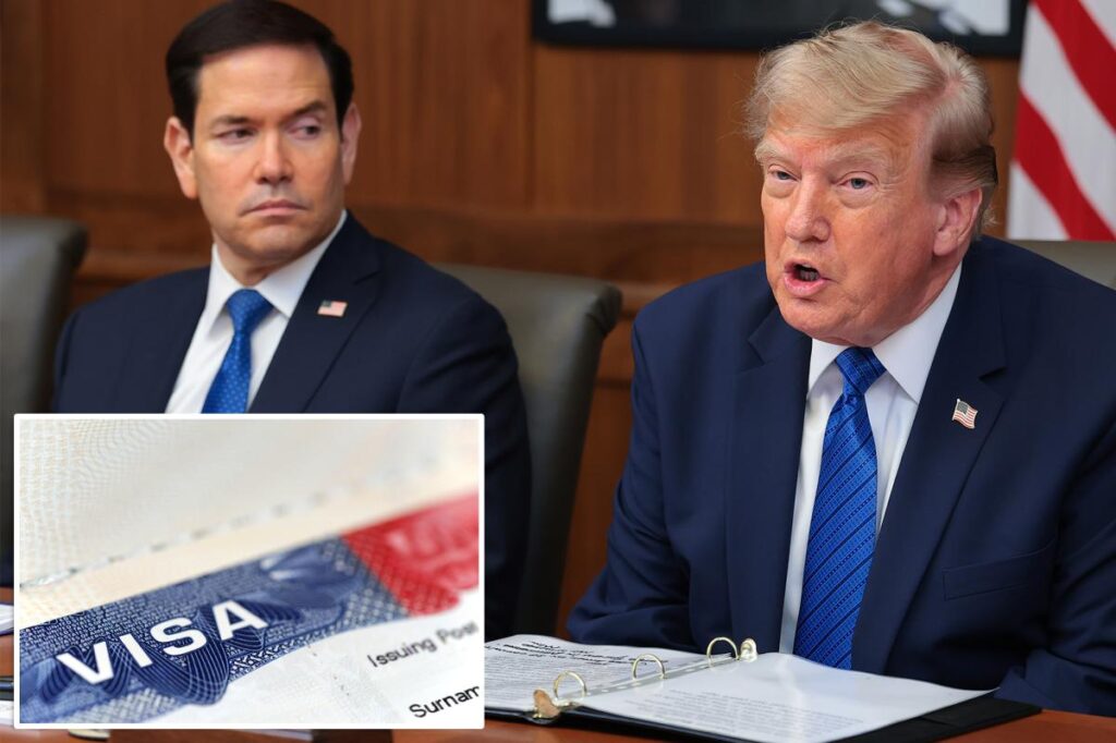 Trump admin to target 200,000 foreigners in largest mass visa revocation ever: report 