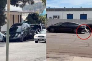 Wild moment LA Porsche owner speeds off in his car mid-tow, leaving bumper behind in frantic escape Wild moment LA Porsche owner speeds off in his car mid-tow, leaving bumper behind in frantic escape