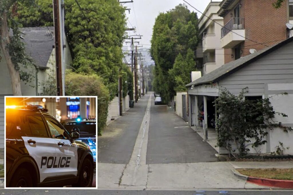 Beverly Hills horror as man stabbed to death on ritzy block Beverly Hills horror as man stabbed to death on ritzy block