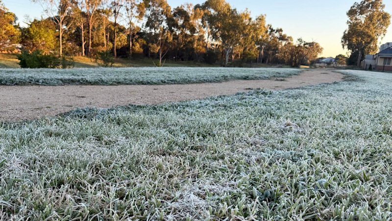 Frosty start to August across city, as parts of regional Victoria dip below zero Frosty start to August across city, as parts of regional Victoria dip below zero