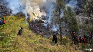 Indonesia closes all access to Mount Bromo as wildfire expands