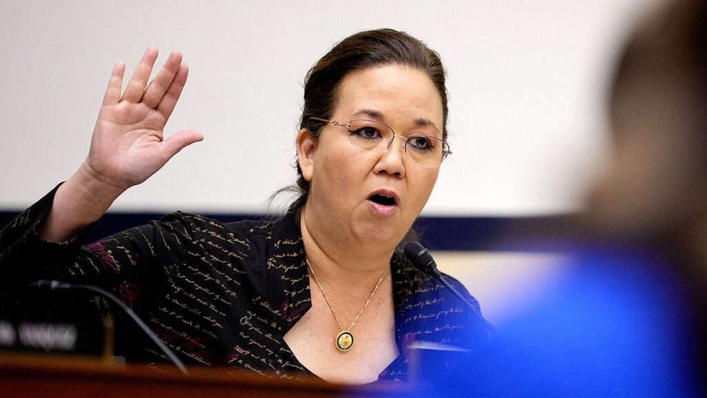 Hawaii rep cruises to Dem primary win after challenger arrested for beach brawl Hawaii rep cruises to Dem primary win after challenger arrested for beach brawl
