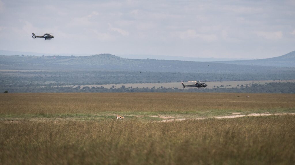 5 Americans killed in helicopter crash in Kenya, including Telemundo executive 5 Americans killed in helicopter crash in Kenya, including Telemundo executive