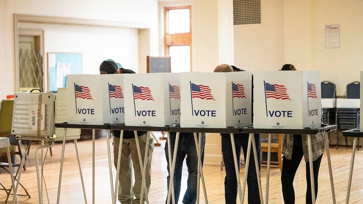 People voting in Michigan in 2024