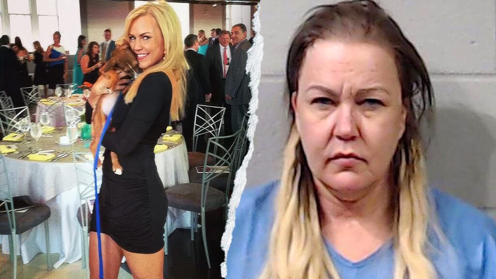 Former news anchor pleads guilty to stabbing mother to death on Halloween