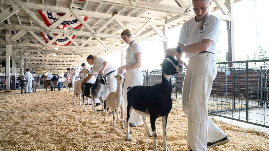 North Carolina warns mobile petting zoo visitors of rabies exposure after baby goats test positive