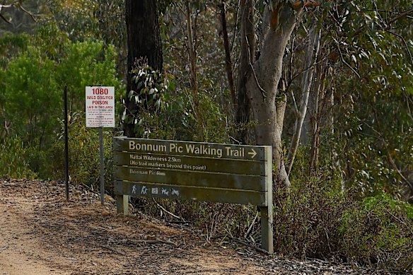 Lily Hooper began her hike on the Bonnum Pic Walking Trail on August 12.