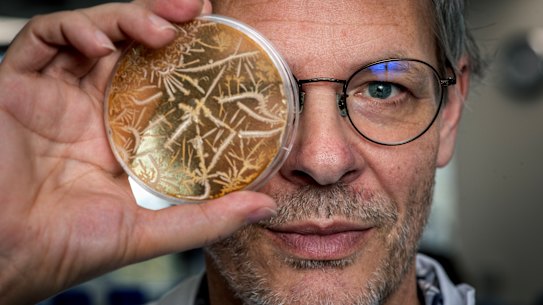 Professor Ian Paulsen is leading Australian efforts to seize control of life, down to its very blueprint.
