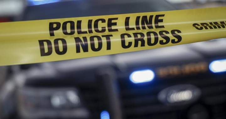 2 dead in Muskoka boating crash, OPP confirm 2 dead in Muskoka boating crash, OPP confirm