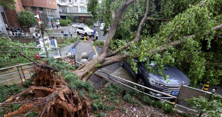 Air Canada flights resume following Typhoon Dolphin in southern China Air Canada flights resume following Typhoon Dolphin in southern China