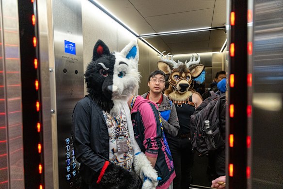 Furries catch a lift during the Aurawra furry convention at the Parramatta Parkroyal.