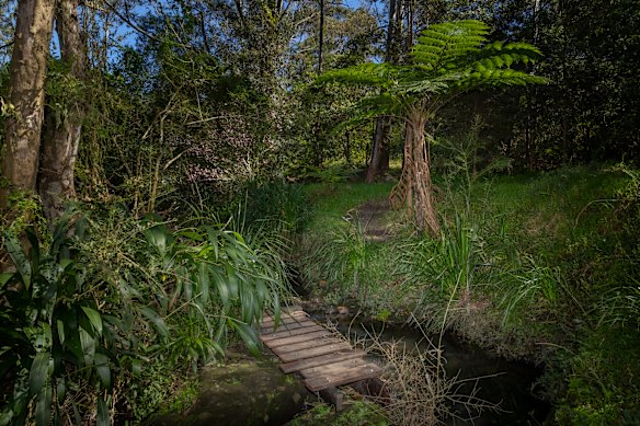 Cheltenham residents living in the vicinity of Devlins Creek are surrounded by bushland.