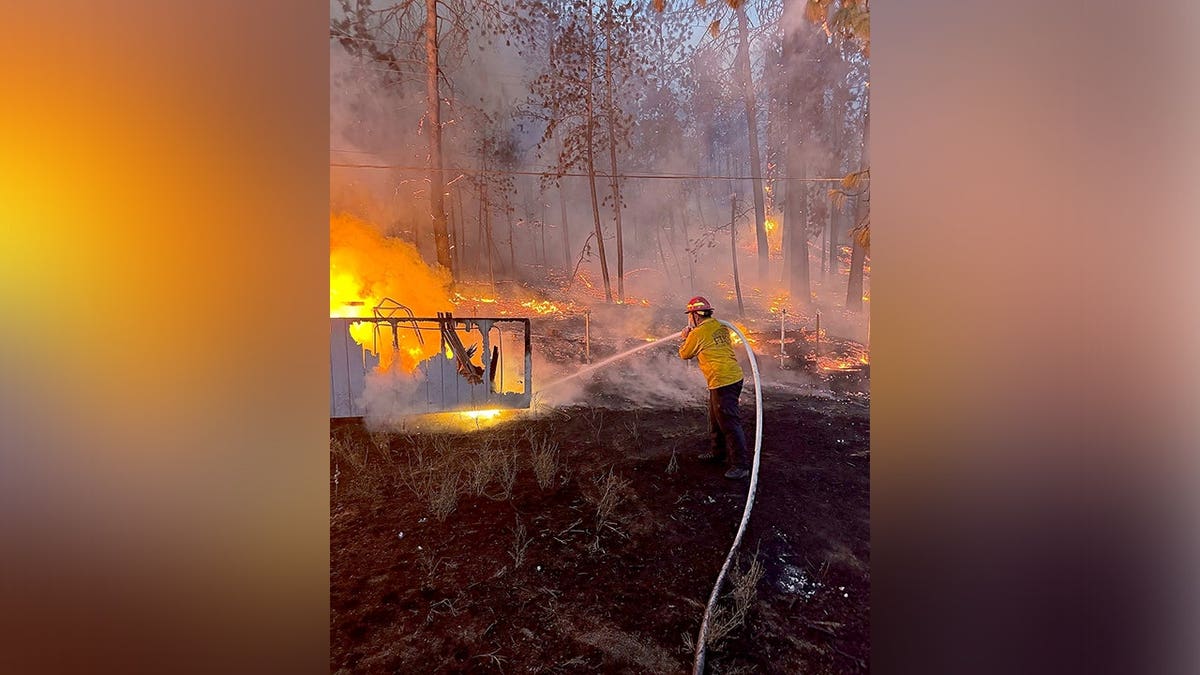 A firefighter in yellow protective gear sprays water on flames burning through a wooded area.