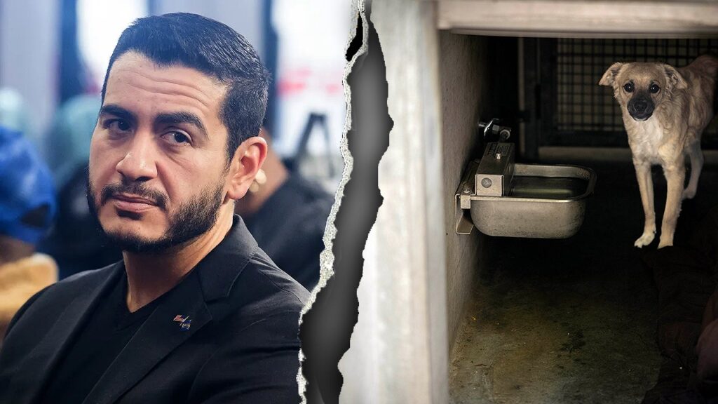 El-Sayed in the hot seat after ‘sickening’ animal control record goes viral on social media