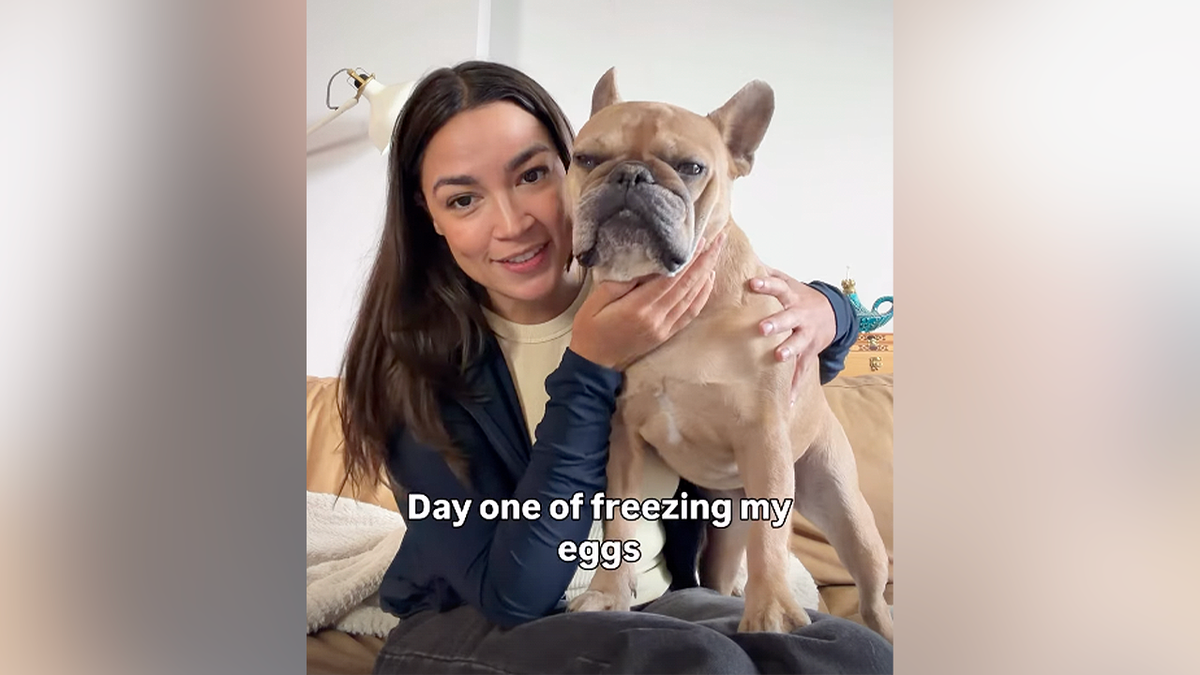 Rep. Alexandria Ocasio-Cortez poses with her French bulldog during an Instagram Story announcing the first day of her egg-freezing journey