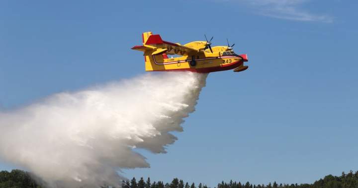 Lightning sparked dozens of wildfires in Quebec in July Lightning sparked dozens of wildfires in Quebec in July