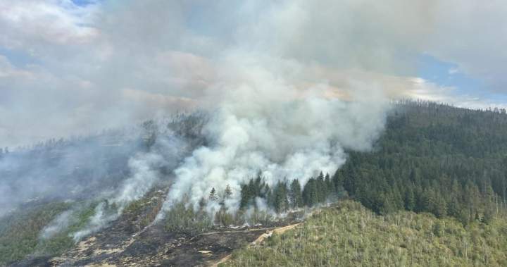 B.C. wildfires continue to flare up, with almost 30 added in past 24 hours B.C. wildfires continue to flare up, with almost 30 added in past 24 hours