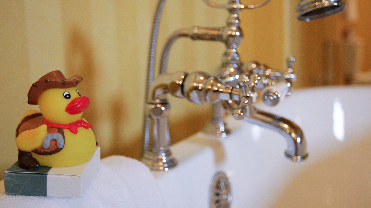 toy duck at bathtub