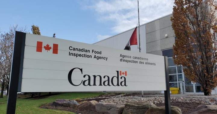 Compliments’ smashed 100% chicken burgers are being recalled in Canada Compliments’ smashed 100% chicken burgers are being recalled in Canada