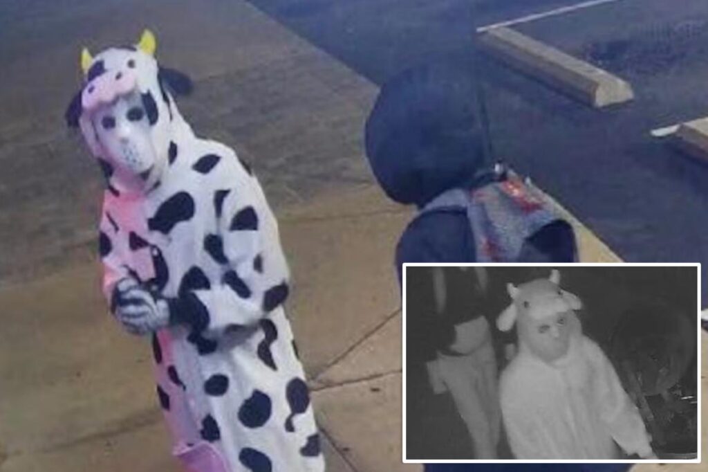 Burglar dressed in cow onesie steals vapes from Tennessee smoke shop