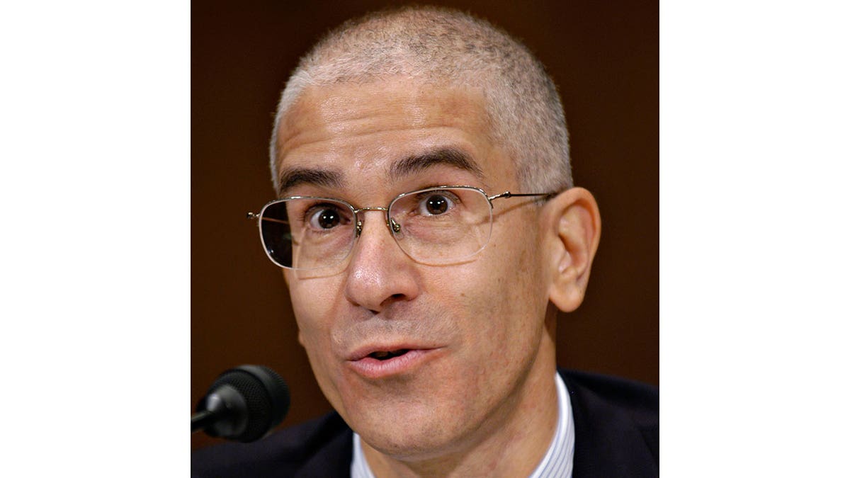 Daniel Richman, a professor at Columbia Law School in New York, testifies before the Senate Committee on the Judiciary on September 18, 2007, in Washington, D.C.  (Photo by Stephanie Kuykendal/Bloomberg via Getty Images)