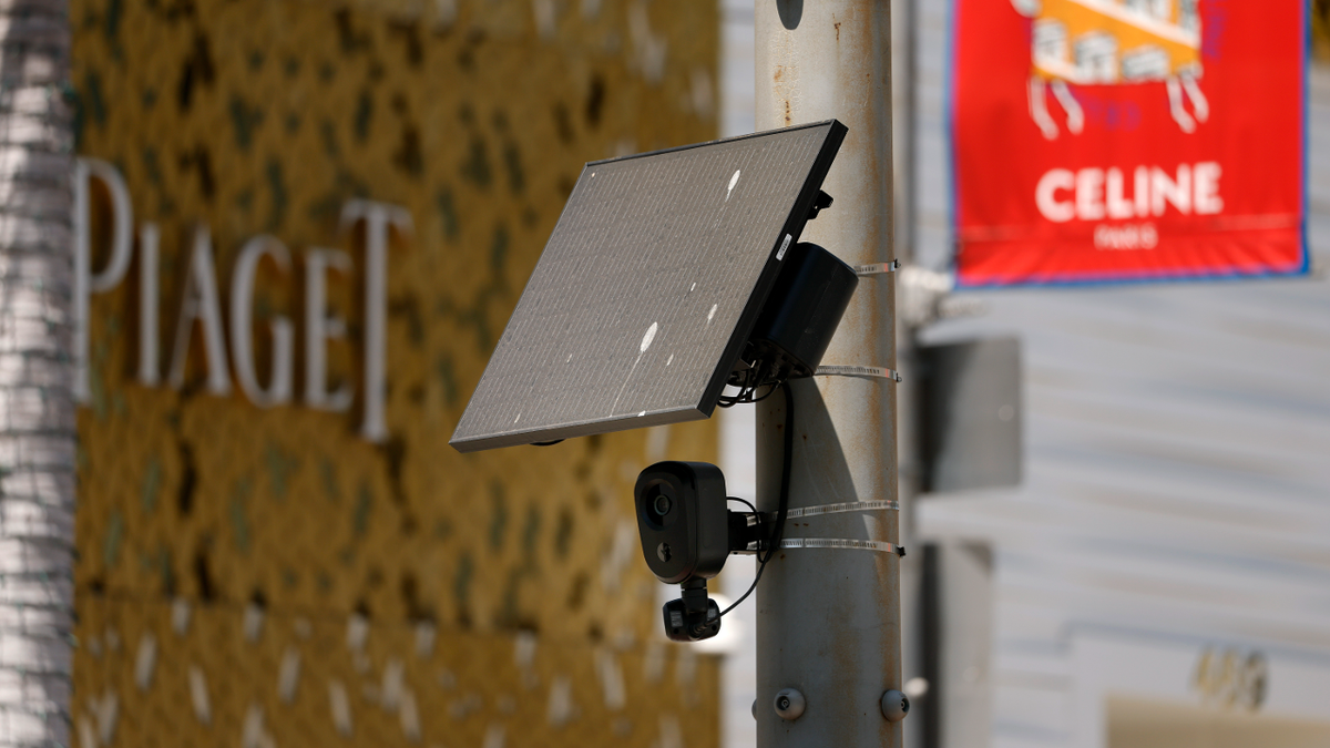 A Flock camera