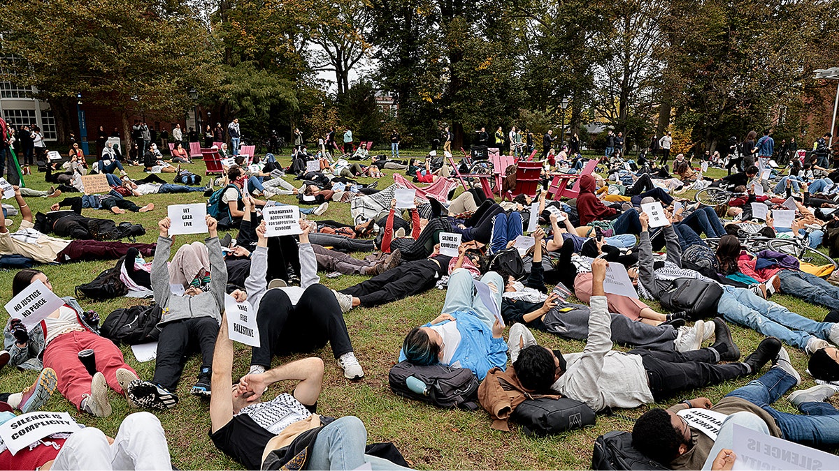 Harvard Protest