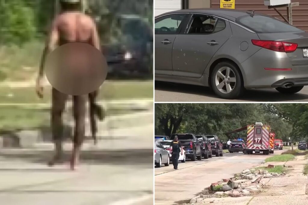 Houston police shoot gunman who indiscriminately fired on vehicles, injuring mother and daughter
