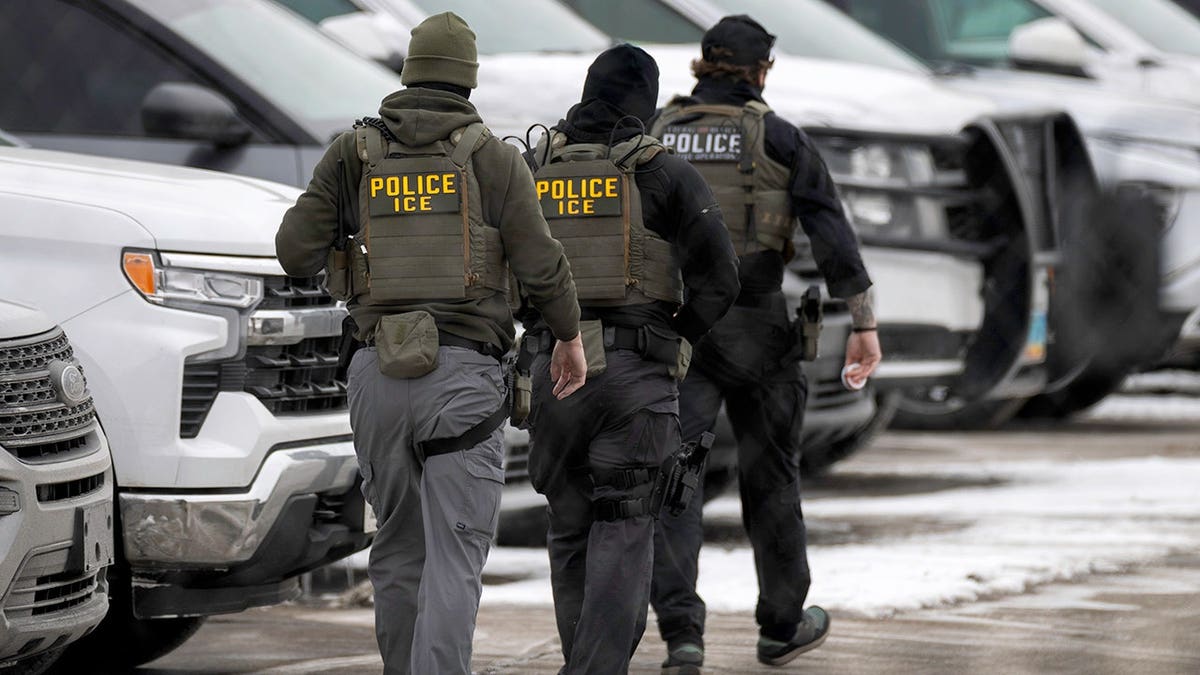 ICE agents